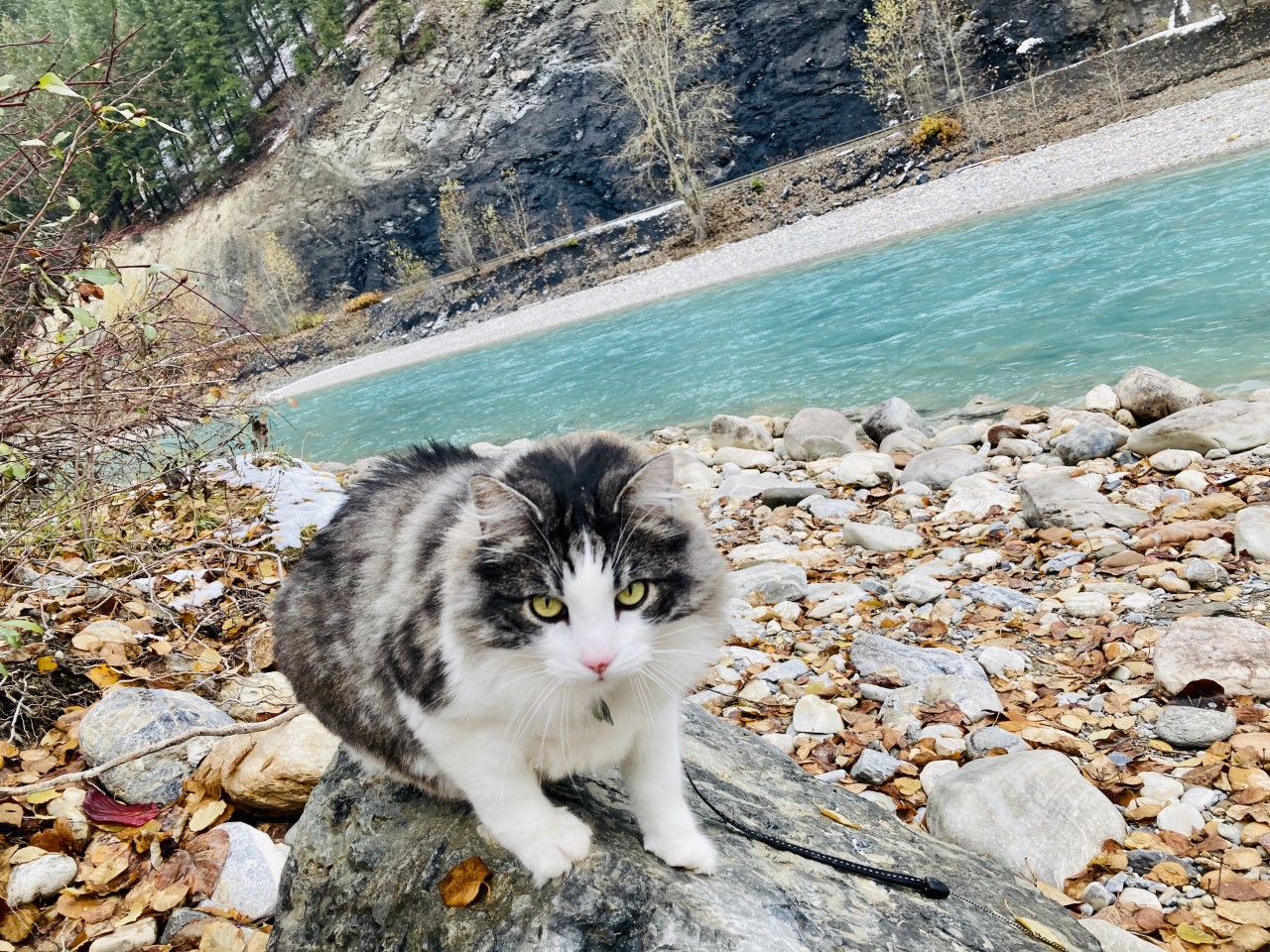 Nous avons tenté d’aller au lac Louise pour pique-niquer, mais nous avons fait demi-tour à l’entrée étant donné les routes glacées. Nous avons donc mangé ici!