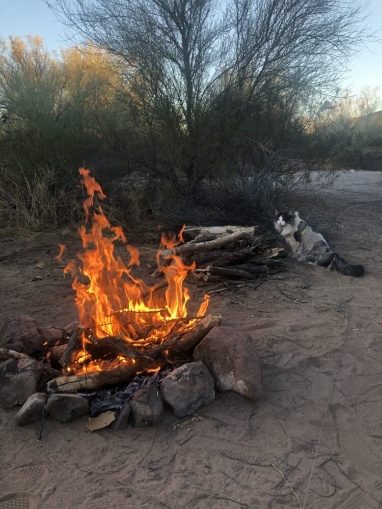 Petit feu en famille !